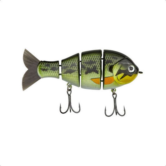 Bucca MB Baby Bull Gill