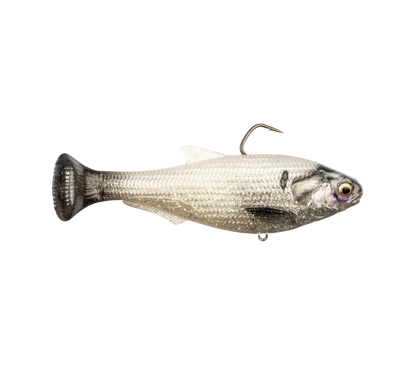 Z Man Shadron LT Fast Sink 4.5"