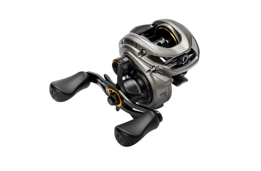 Lew's Reel Accel RX BC