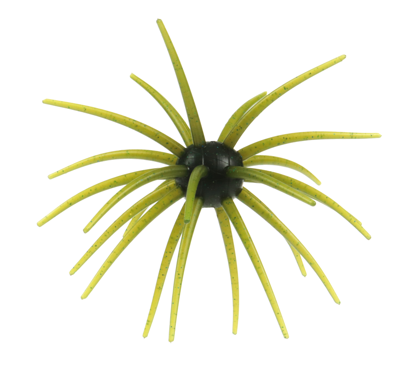 Hags Bait Prickly Pear