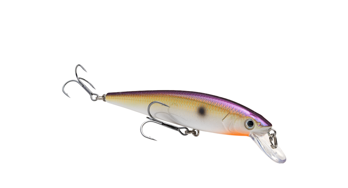 Strike King KVD Jerkbait