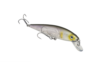 Strike King KVD Jerkbait