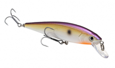Strike King KVD Jerkbait