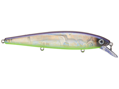 Strike King KVD Jerkbait