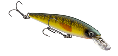 Strike King KVD Jerkbait