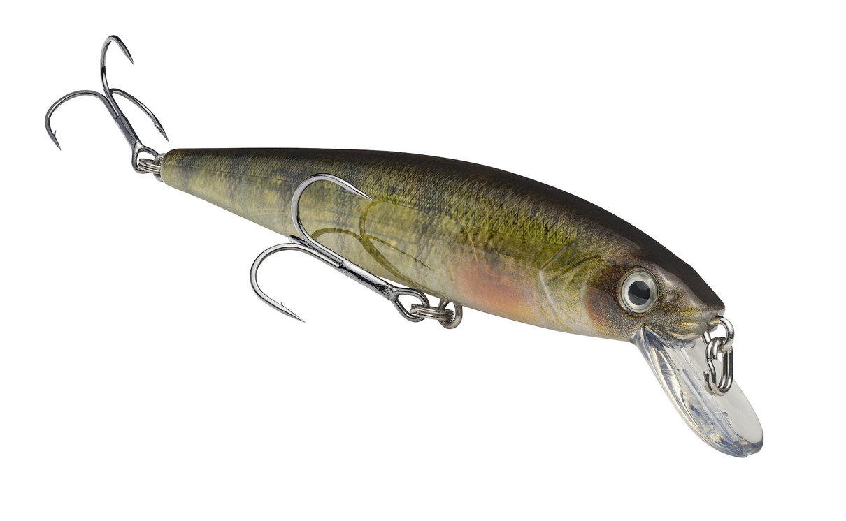 Strike King KVD Jerkbait